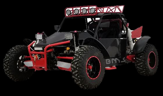 Buggy - Powersports Warehouse