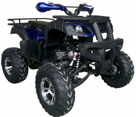 2021 Warrior 200 ATV, Auto with Reverse, 10" Alloy Wheels, Front Bumper Rear Rack - Powersports Warehouse