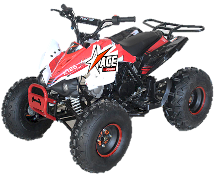 ACE 125cc ATV 3-Speed, Reverse, Remote Start/Kill/Alarm BEST DEAL - Powersports Warehouse