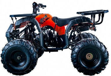 Apollo Rider-10 125 ATV, Auto with Reverse, Front Rack, Rear Rack, Deluxe front Bumper - Powersports Warehouse