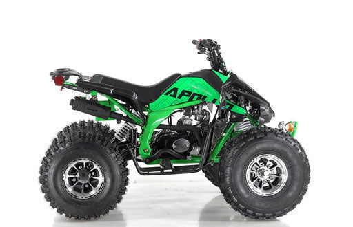Blazer9 DLX 125 ATV, Fully-Automatic with Reverse - Powersports Warehouse
