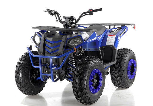 Commander 200 ATV, Fully-Automatic with Reverse - Powersports Warehouse