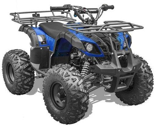 Coolster 125R Mid-Size Utility ATV, Automatic with Reverse, 8in Wheels (T125U) - Powersports Warehouse