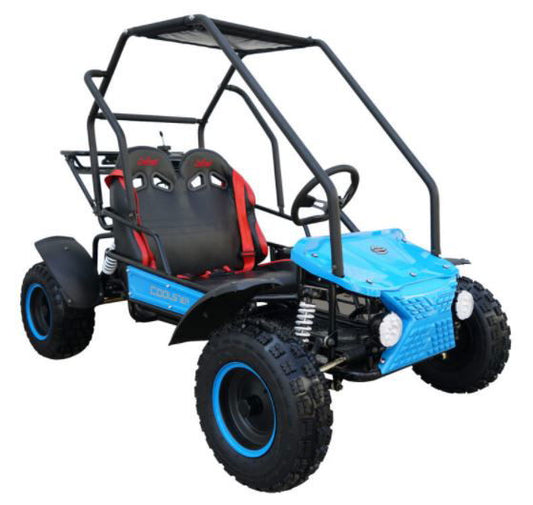 Coolster 125cc Kids Go Kart - Powersports Warehouse