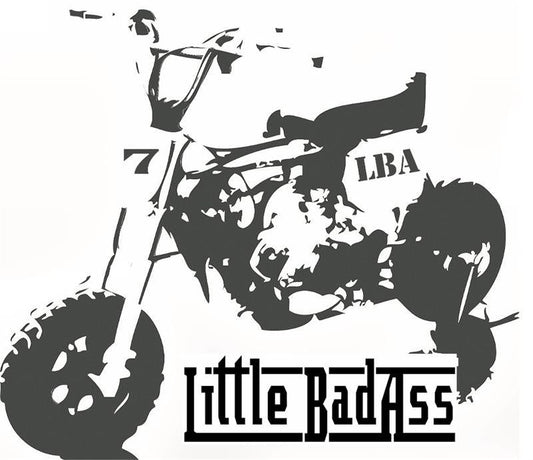 DMC Little BadAss 357 Mini Bike - Powersports Warehouse