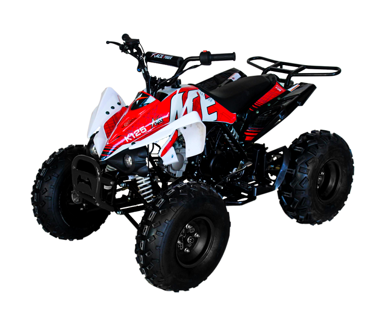 ACE 125 ATV 3-Speed, Semi Auto with Reverse, Remote Kill/Alarm, 8" Black Deluxe Wheels, Drum/Disc Brake, Footrests, Front Bumper, Rear Rack - Powersports Warehouse