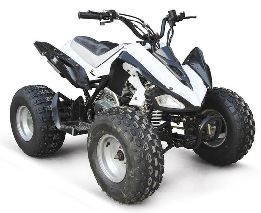 EAGLE 125(K) ATV, 3-Speed, Manual Clutch with Reverse, 8" Wheels, Disc Brake, Footrests - Powersports Warehouse