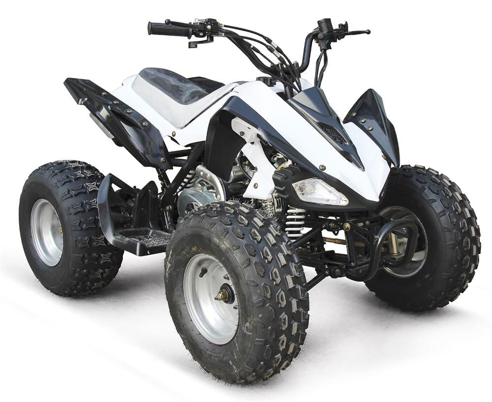 EAGLE 125(K) ATV, 3-Speed, Semi Automatic with Reverse, 8" Wheels, Disc Brake, Footrests - Powersports Warehouse