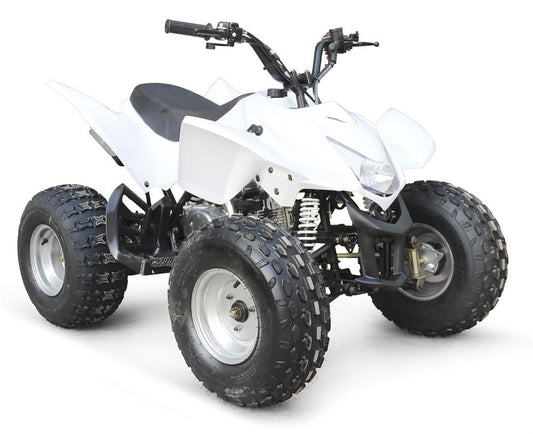 EAGLE 125(T) ATV, 3-Speed, Manual Clutch with Reverse, 8" Wheels, Disc Brake, Footrests - Powersports Warehouse