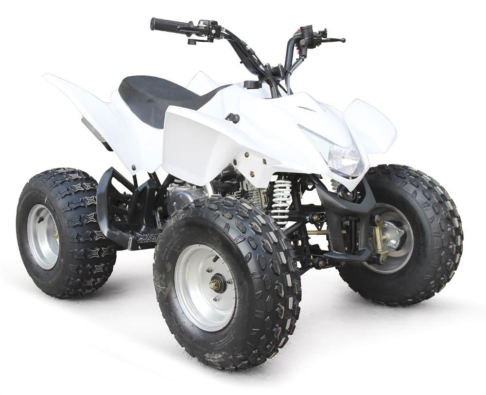 EAGLE 125(T) ATV, 3-Speed, Semi-Automatic with Reverse, 8" Wheels, Disc Brake, Footrests - Powersports Warehouse