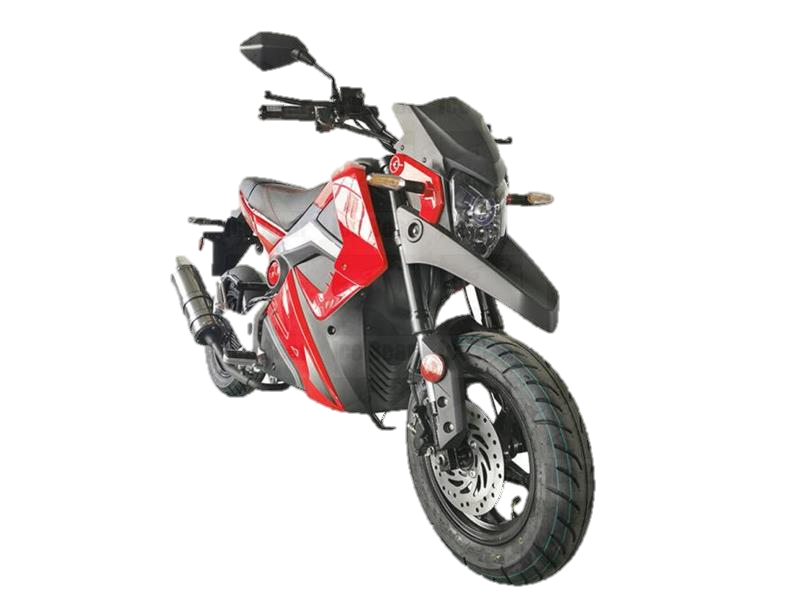 Evader 50 Motorcycle - Powersports Warehouse