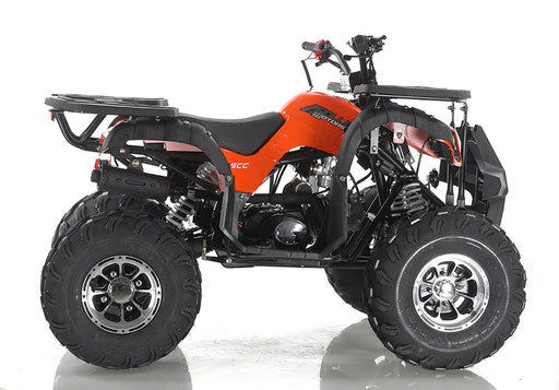Focus10 DLX 125 ATV, Fully-Automatic with Reverse - Powersports Warehouse