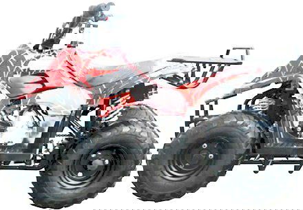 Hornet 125 ATV, Auto with Reverse, 8" Wheels, Rear Disc Brake - Powersports Warehouse