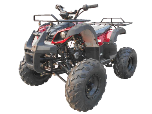 IceBear Spartan-8 125 ATV, Fully Auto with Reverse, 8 inch Wheels - Powersports Warehouse