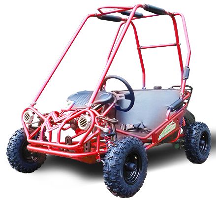 Interceptor 163 XRS+ Kids Go Kart, 5.5hp, Torque Converter - Powersports Warehouse