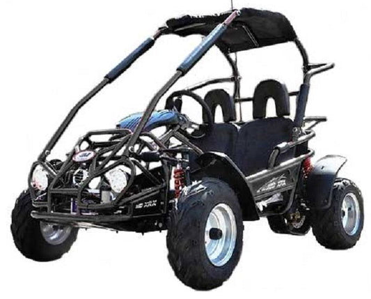 Interceptor 196XRX Buggy Go Kart, 6.5hp, Electric Start - Powersports Warehouse