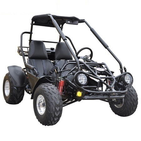 Interceptor 200XRS Go Kart, CVT Automatic, Adult Size - Powersports Warehouse