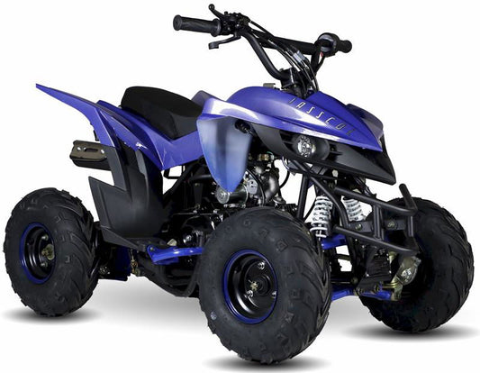 Kandi Kids ATV, 110cc, Automatic, Electric Start, Speed Governor CARB Approved - Powersports Warehouse