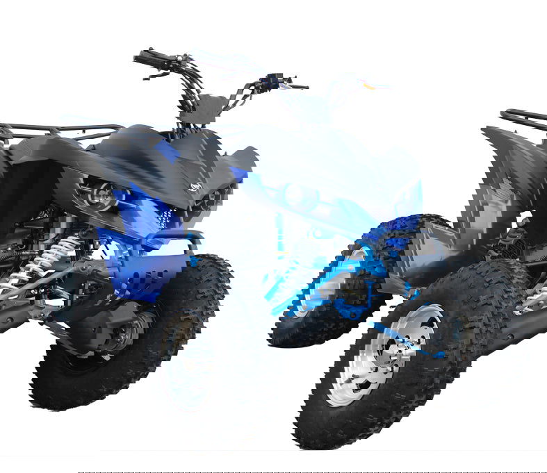 Kandi Raptor 200 ATV, 10" Alloy Wheels, Automatic with Reverse - Powersports Warehouse