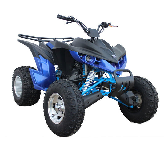 Kandi Raptor 200 ATV, 10" Alloy Wheels, Automatic with Reverse - Powersports Warehouse