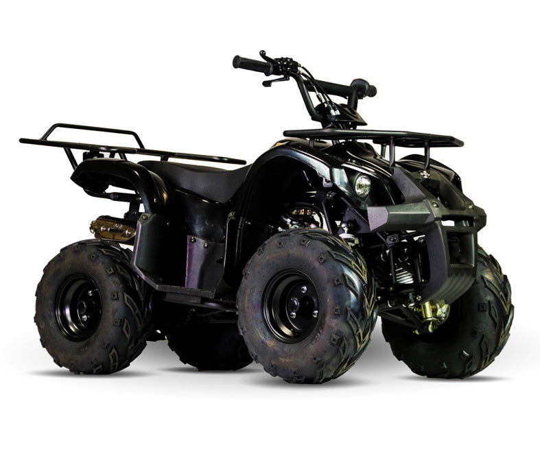 Kandi Talon ATV, 110cc Automatic with Reverse, Electric Start Speed Governor, Remote Start/Kill - Powersports Warehouse