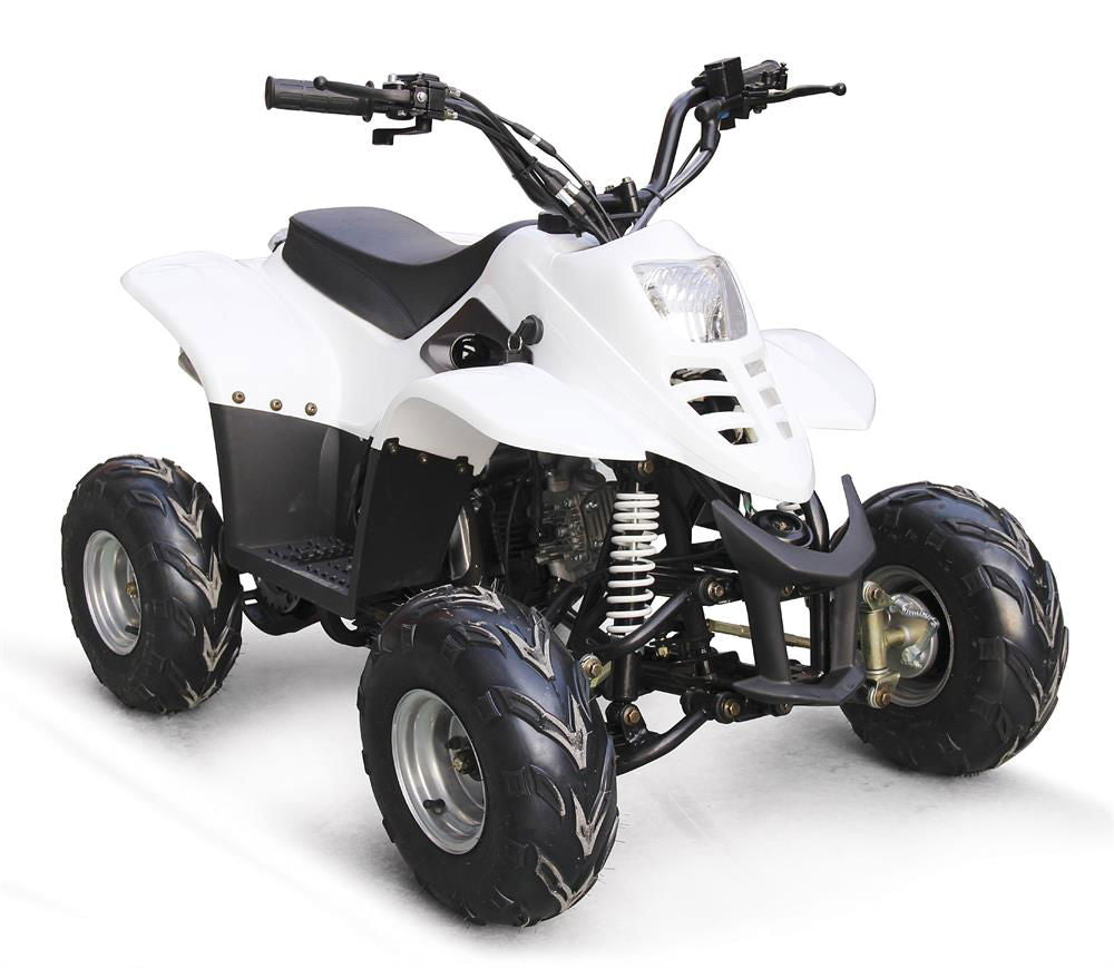 EAGLE 110(D) Kids ATV, Gas Engine, Electric Start, Fully Automatic, with Reverse, 6" Wheels, Disc Brake, Remote Start/Kill, Speed Governor - Powersports Warehouse