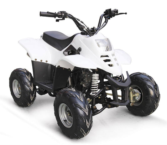 EAGLE 110(D) Kids ATV, Gas Engine, Electric Start, Fully Automatic, with Reverse, 6" Wheels, Disc Brake, Remote Start/Kill, Speed Governor - Powersports Warehouse