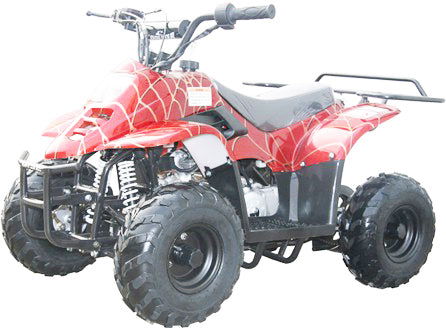 Coolster Mini 110cc Sport ATV, Remote Start/Kill, Speed Governor, 6 in Wheels (3050C) TOP SELLER - Powersports Warehouse