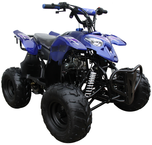 TrailMaster Mini Sport  ATV 110, Gas Engine with Remote Start/Kill, Speed Governor 6 inch Wheels KIDS AGES 10-14 - Powersports Warehouse