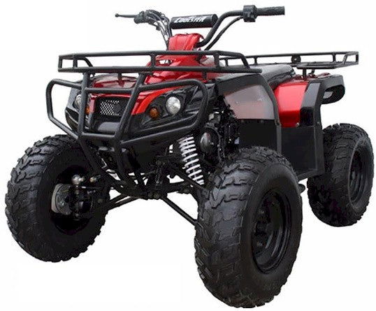Kodiak 125 ATV, 3-Speed Semi Automatic wReverse, 10 inch wheels - Powersports Warehouse