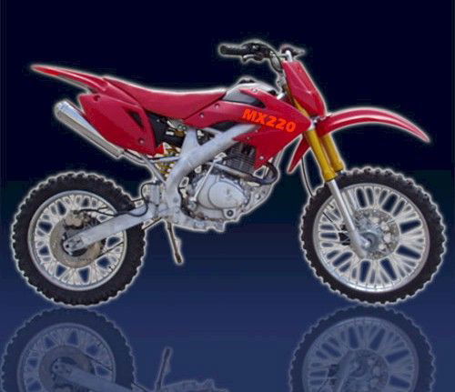 MX220 Motocross Bike - Powersports Warehouse