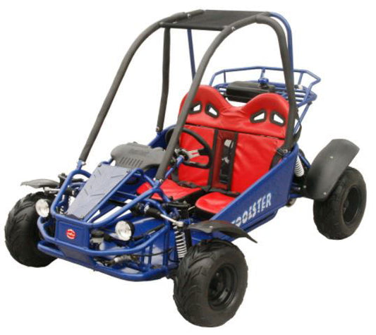 Prowler 125cc Kids Go Kart, Fully Automatic with Reverse - Powersports Warehouse
