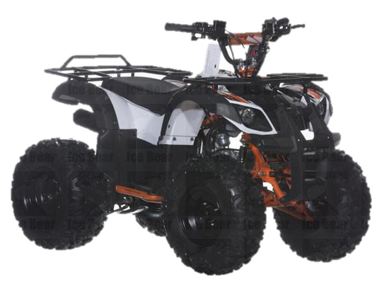 *RAIDER 125(B) ATV, Auto, Reverse, Remote Start, 8 inch Black Wheels - Powersports Warehouse