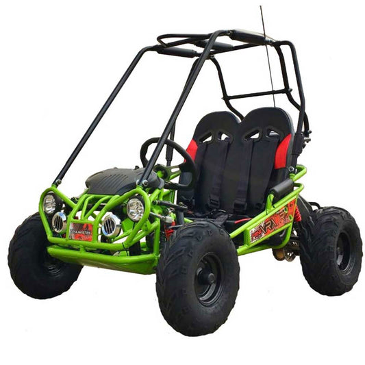 TrailMaster 163 MINI XRX/R+ Kids Go Kart, 5.5hp Remote Start, Reverse - Powersports Warehouse