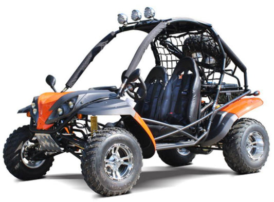 Raptor 200 Buggy Go Kart, CVT Auto with Reverse - Powersports Warehouse