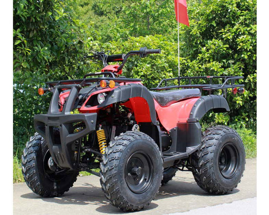 Roketa ATV 118A 200, 10 inch Tires, Auto with Reverse - Powersports Warehouse