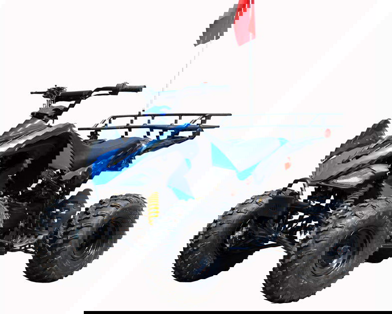Roketa ATV 119A 200, 10 inch Tires, Auto with Reverse - Powersports Warehouse
