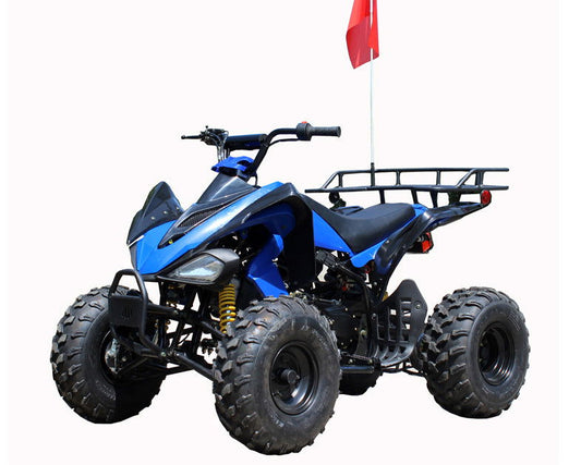 Roketa ATV 119A 200, 10 inch Tires, Auto with Reverse - Powersports Warehouse