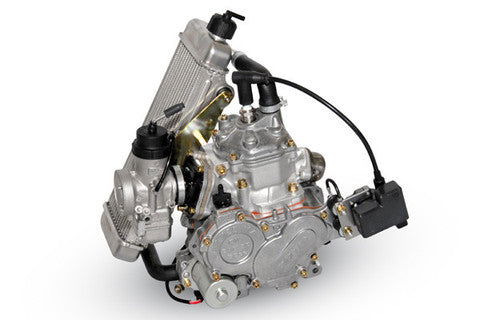 Rotax 125 Mini Max Engine - Powersports Warehouse