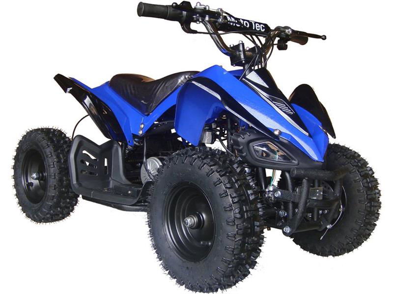 Shark Kids Electric ATV, 2-Speed with Reverse 24v 350w - Powersports Warehouse