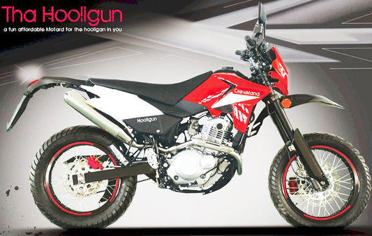 The Heritage 250 Motorcycle - Powersports Warehouse