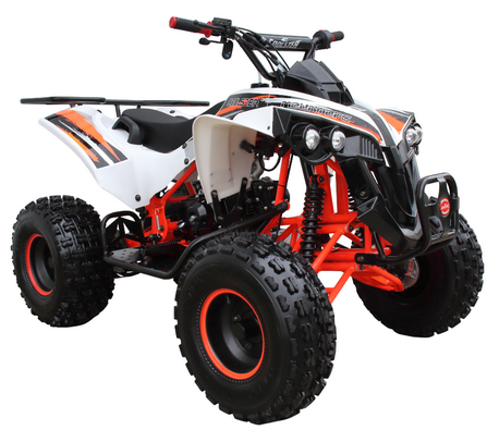 TrailMaster 125R Mid-Sized Sport ATV, Fully Automatic with Reverse, 8 in Wheels AGES 12-16 (3125B) - Powersports Warehouse