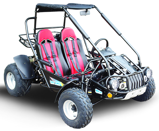 TrailMaster 300 XRS-E (EFI) Dune Buggy Go Kart, Liquid Cooled, Chain Drive - Powersports Warehouse