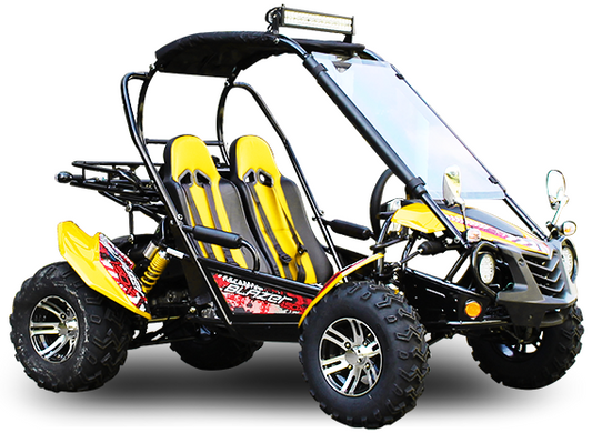 TrailMaster Blazer 200EX (Full Size) Buggy Go Kart, Alloy Wheels, Lights, Turn Signals, Windshield - Powersports Warehouse