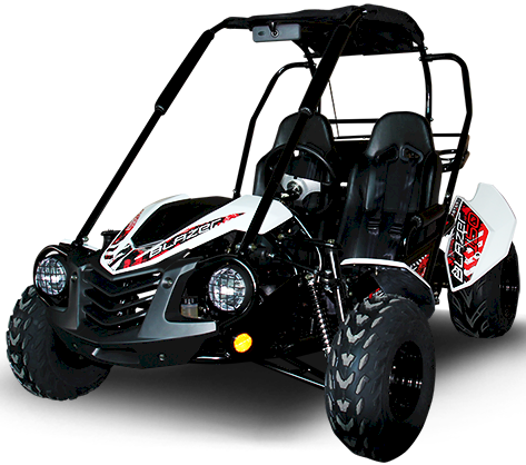TrailMaster Blazer 200 Buggy Go Kart - Powersports Warehouse
