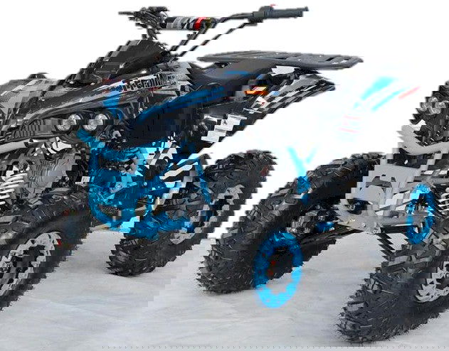 TrailMaster C125 Sport ATV, Fully-Automatic with Reverse, 8 in Wheels AGES 12-16 - Powersports Warehouse