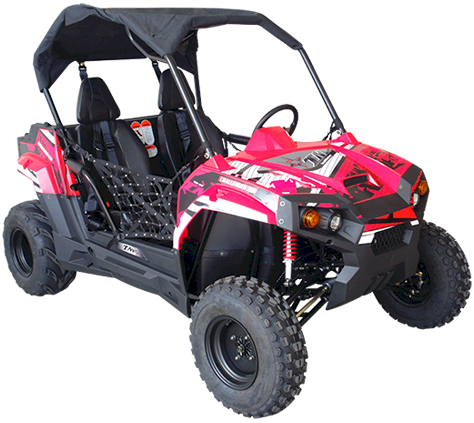 TrailMaster Challenger 150S UTV Side by Side - Powersports Warehouse