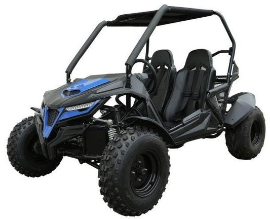 TrailMaster Cheetah 200 Go Kart CVT Auto with Reverse - Powersports Warehouse