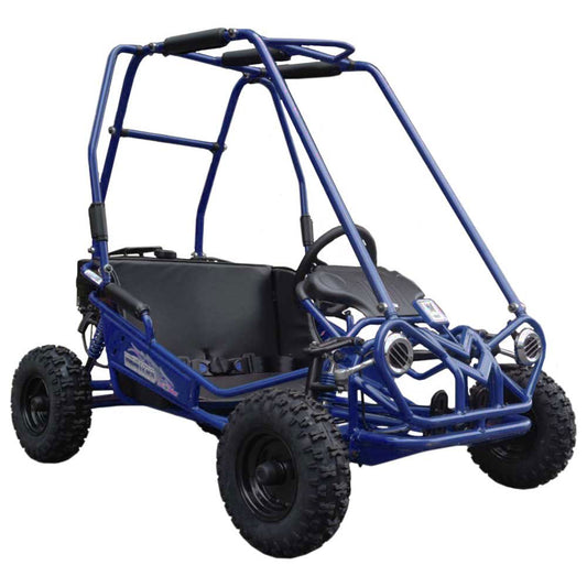 TrailMaster MINI XRS+ Kids Go Kart, 5.5hp, Dual Seats, Adjustable Pedals, Pull Start - Powersports Warehouse