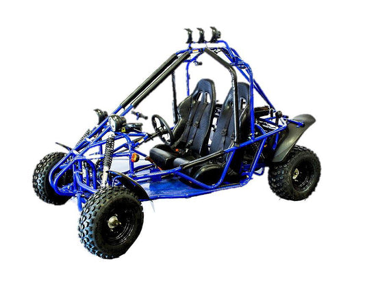 Transformer 200 Buggy Go Kart, CVT Auto, Electric Start - Powersports Warehouse